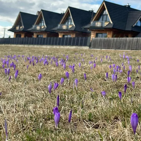 Chalet Tatrzanska Panorama Z Jacuzzi Na Wylacznosc *